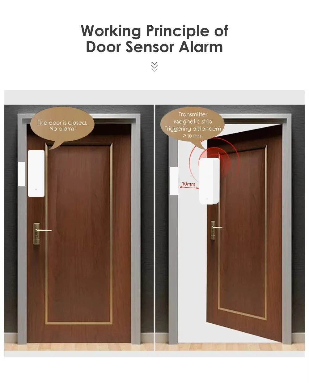 Tuya Zigbee/WiFi Magnetic Door - Smart Home Gateway ulasan dan harga