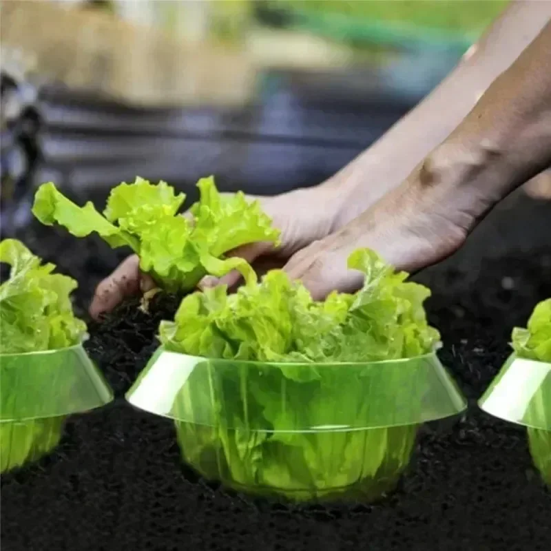 Plants Slug Protection Rings V - Smart Home Green ulasan dan harga
