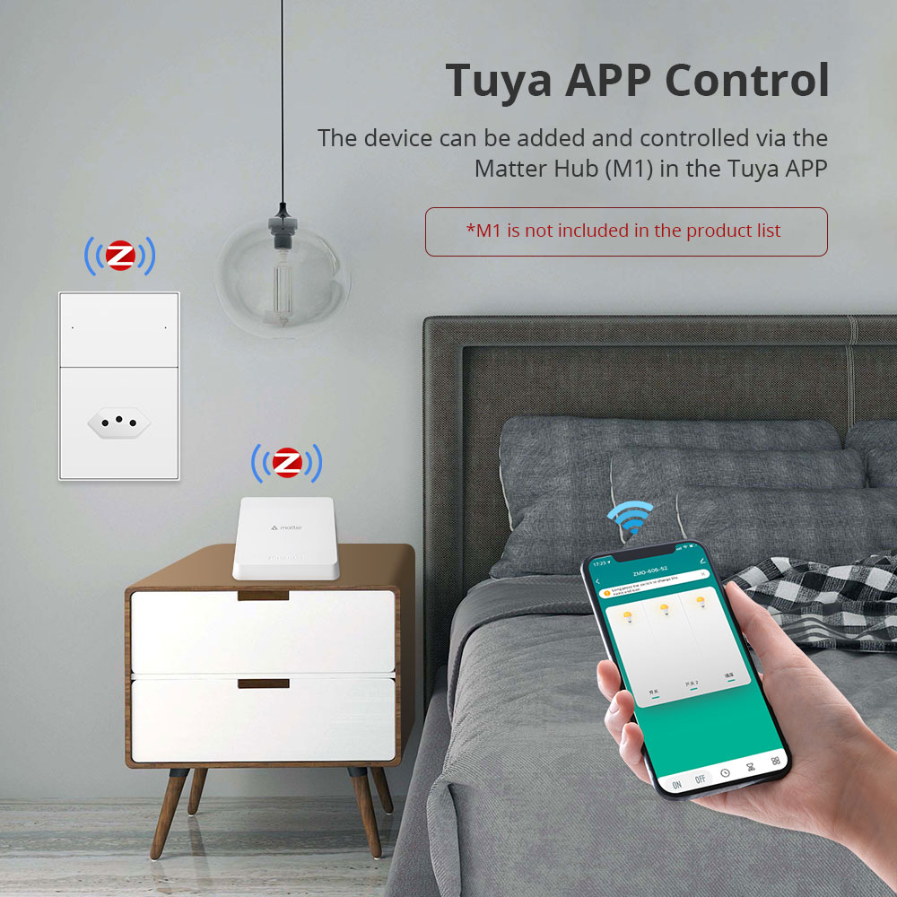 Zemismart Zigbee 10A Brazil So - Smart Home Group ulasan dan harga